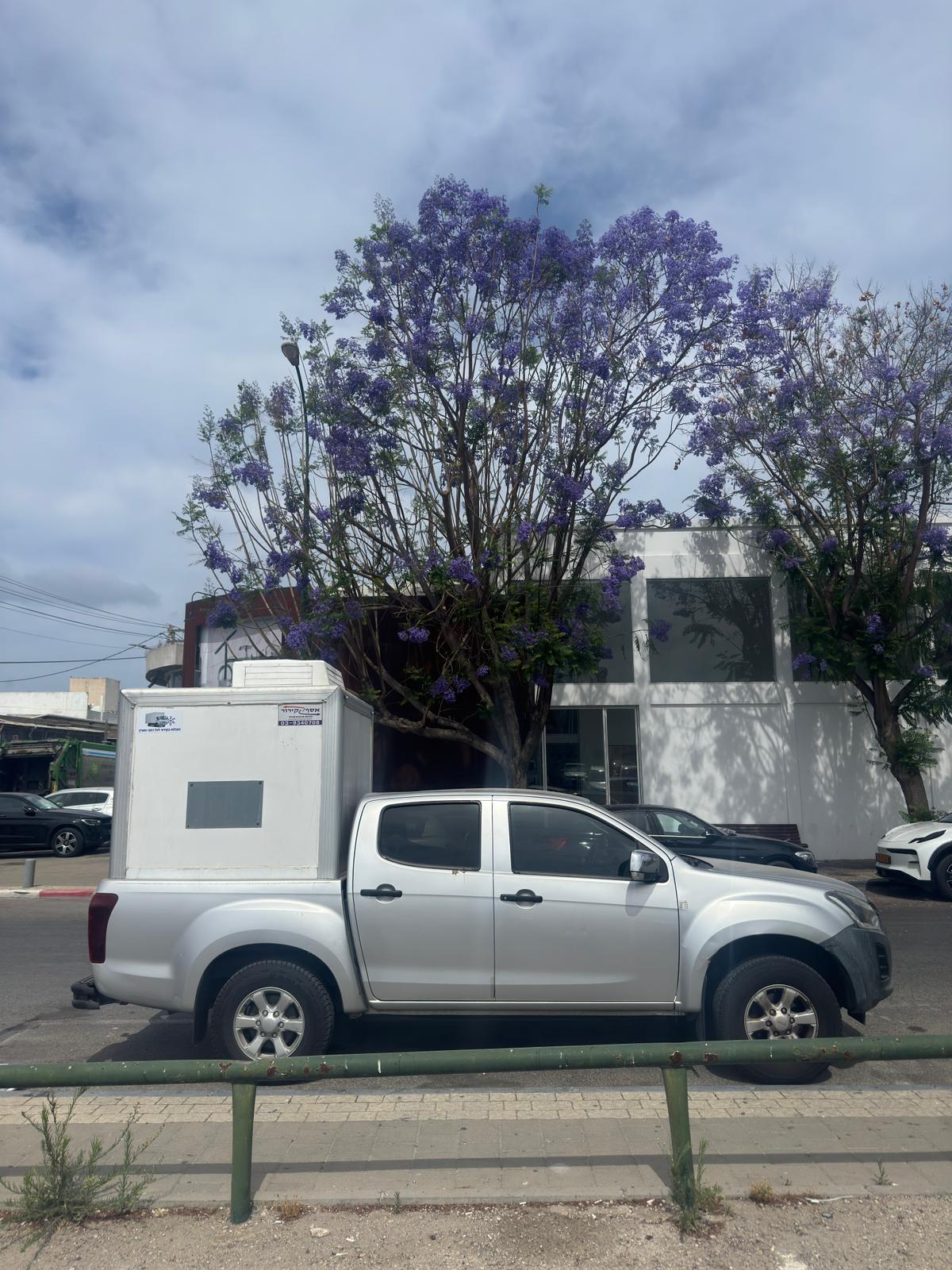 הובלת מזון בקירור